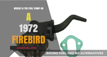 Locating the Fuel Pump on a 1972 Firebird: A Guide