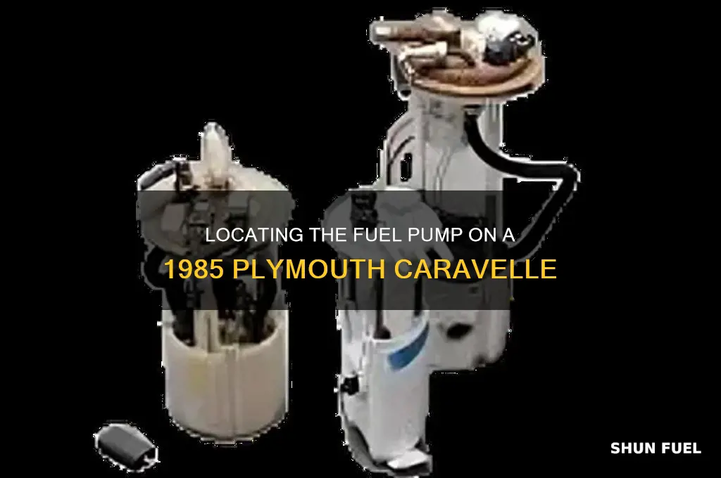 where is the fuel pump on a 1985 plymouth caravelle