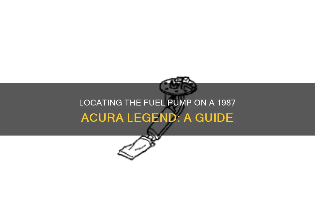 where is the fuel pump on a 1987 acura legend
