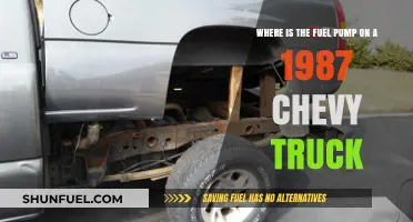 Locating the Fuel Pump on a 1987 Chevy Truck: A Guide