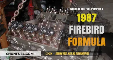 Locating the Fuel Pump in a 1987 Firebird Formula