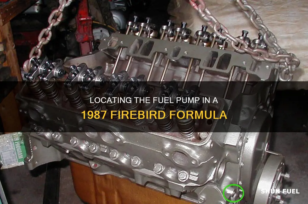 where is the fuel pump on a 1987 firebird formula
