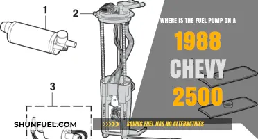 Locating the Fuel Pump on a 1988 Chevy 2500 Truck