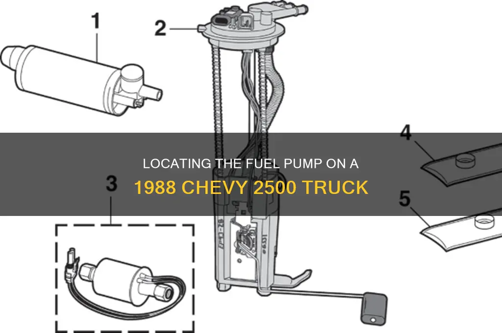 where is the fuel pump on a 1988 chevy 2500