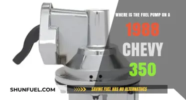 Locating the Fuel Pump on a 1988 Chevy 350 Engine