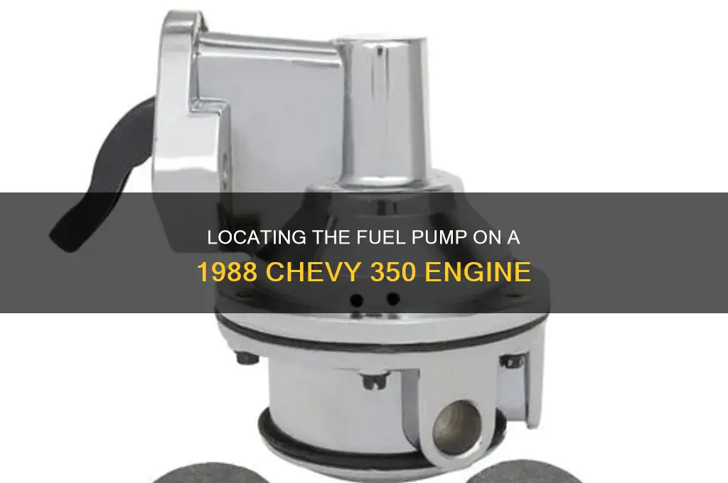where is the fuel pump on a 1988 chevy 350