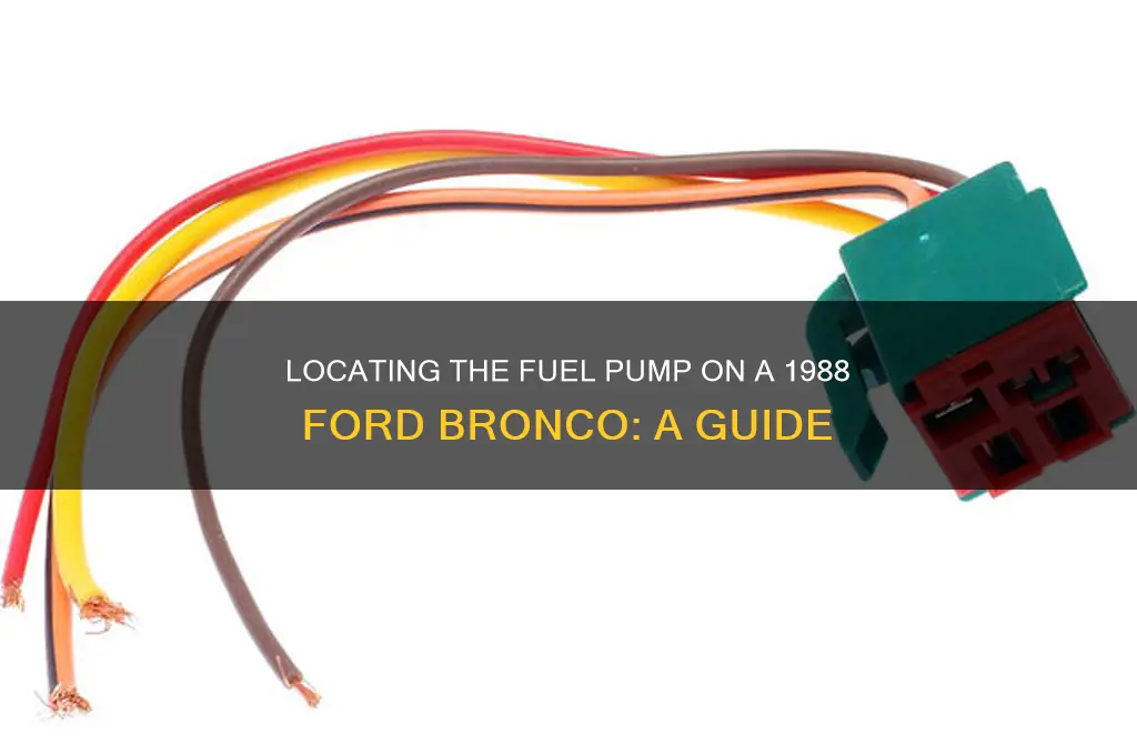 where is the fuel pump on a 1988 ford bronco