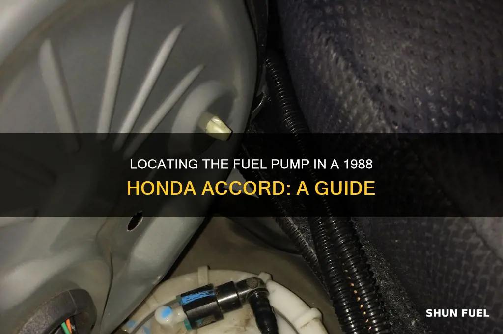 where is the fuel pump on a 1988 honda accord