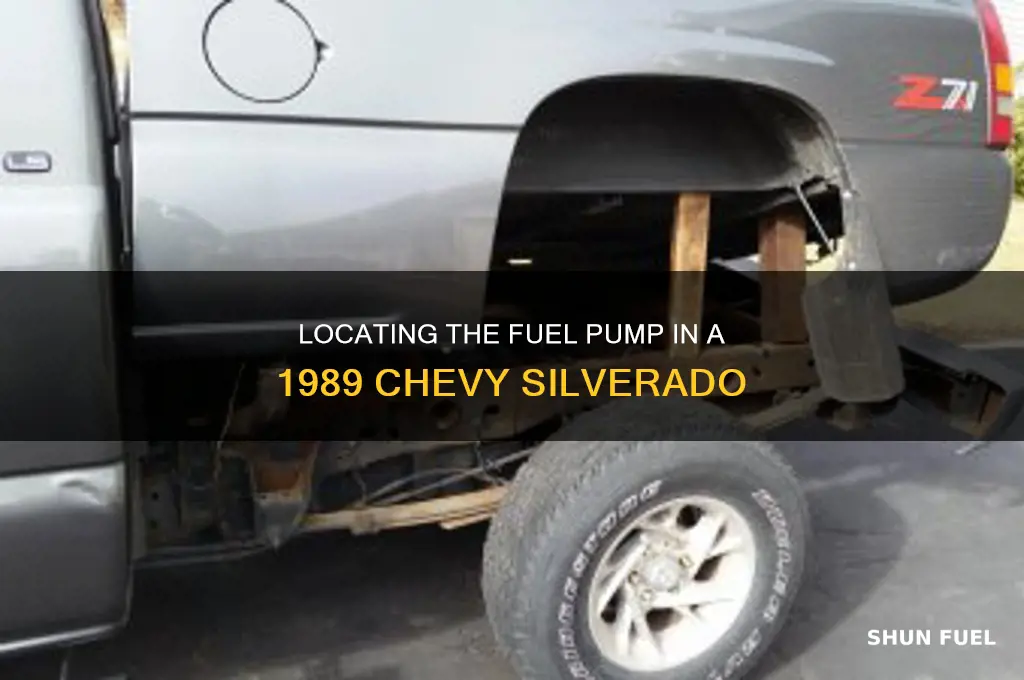 where is the fuel pump on a 1989 chevy silverado