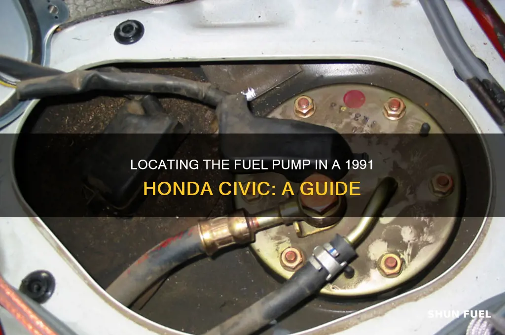 where is the fuel pump on a 1991 honda civic