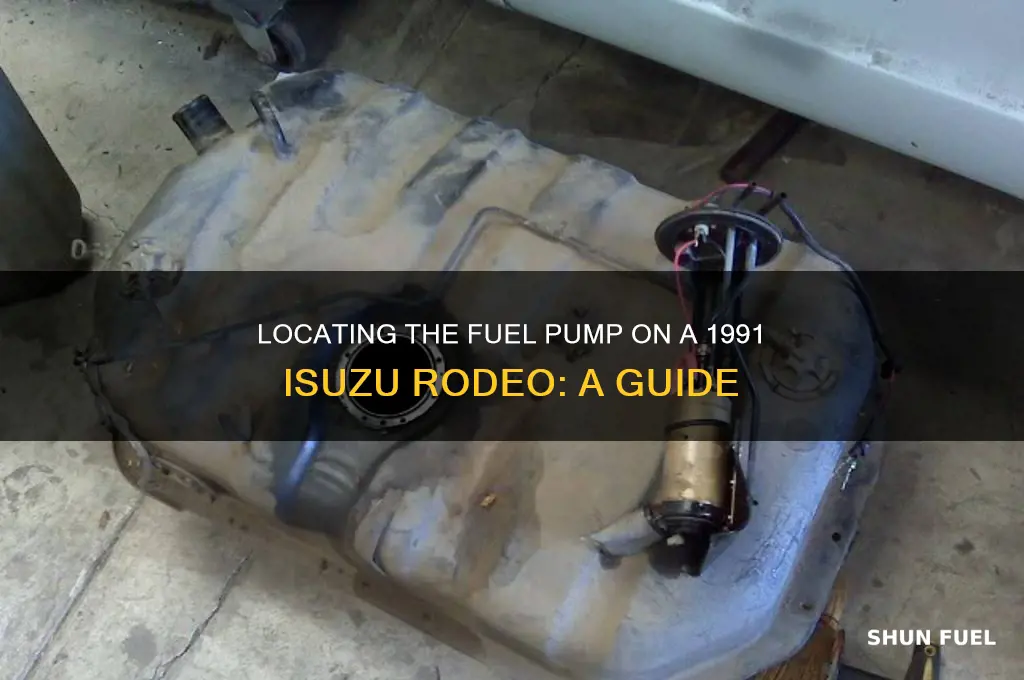 where is the fuel pump on a 1991 isuzu rodeo
