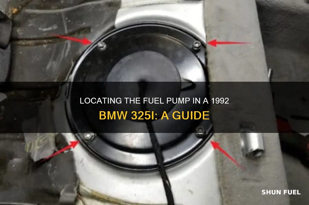where is the fuel pump on a 1992 bmw 325i
