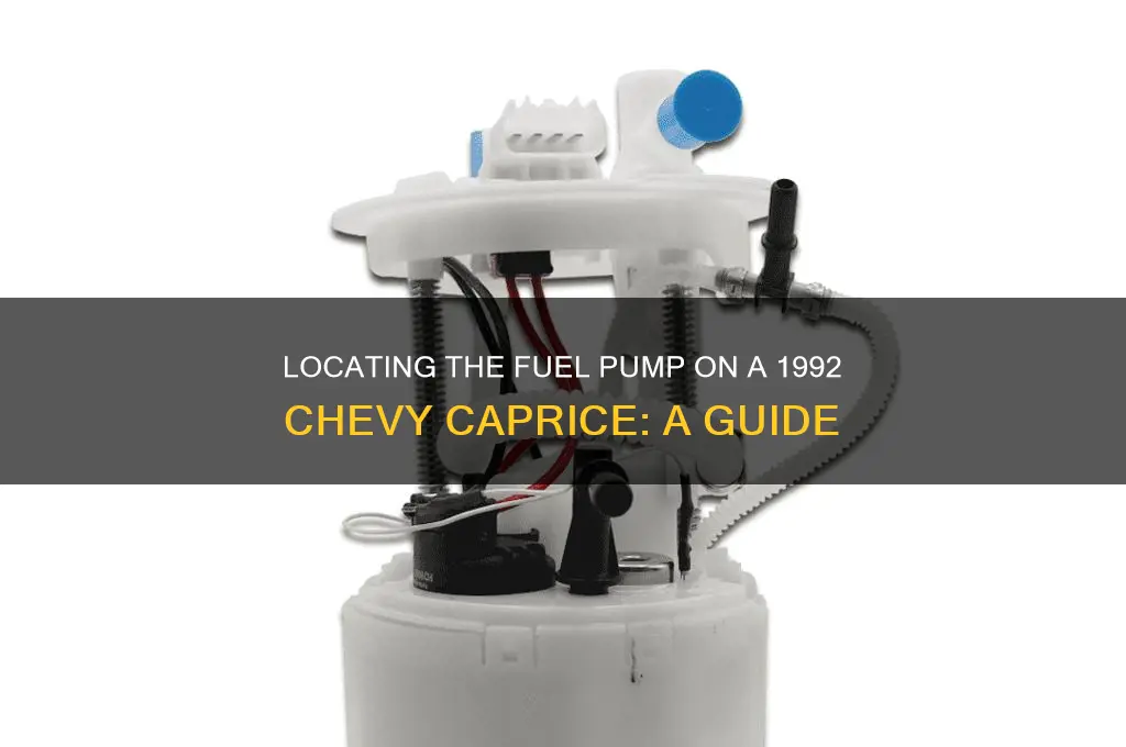 where is the fuel pump on a 1992 chevy caprice