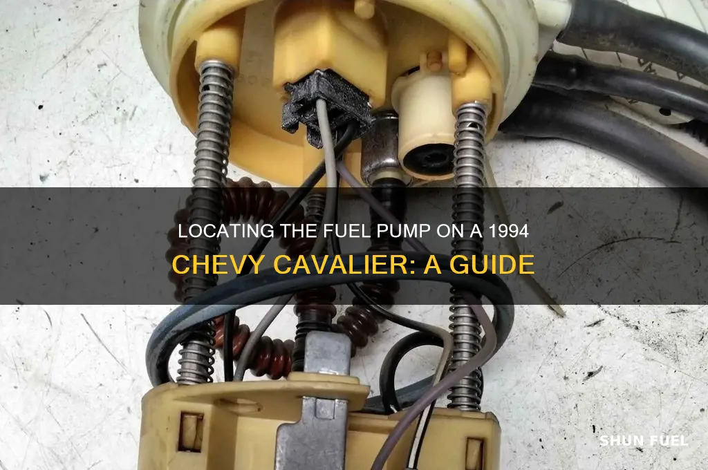 where is the fuel pump on a 1994 chevy cavalier