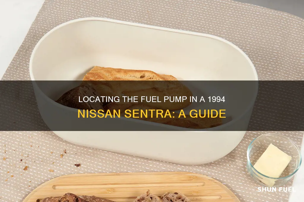 where is the fuel pump on a 1994 nissan sentra