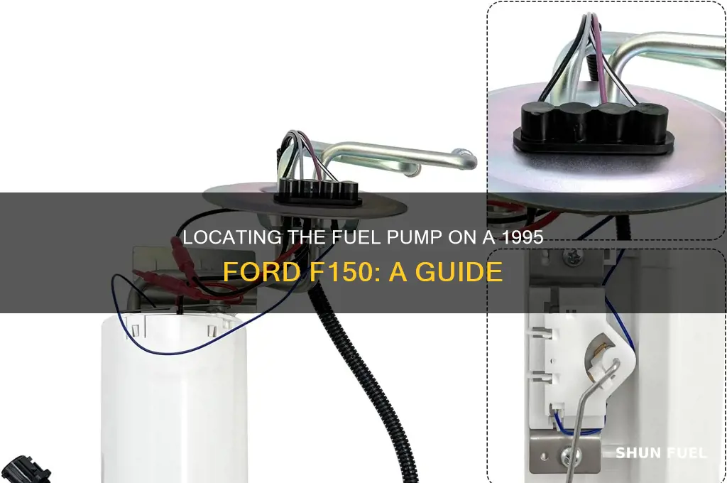 where is the fuel pump on a 1995 ford f150