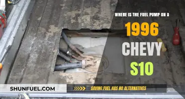 Locate the Fuel Pump on a 1996 Chevy S10 Easily