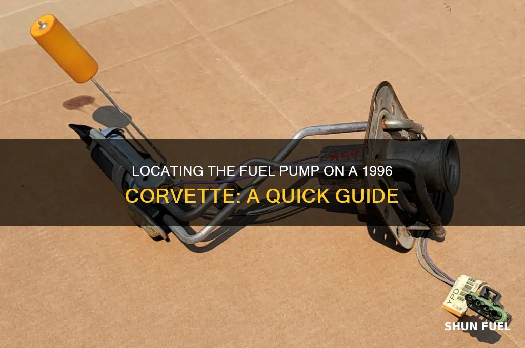 where is the fuel pump on a 1996 corvette