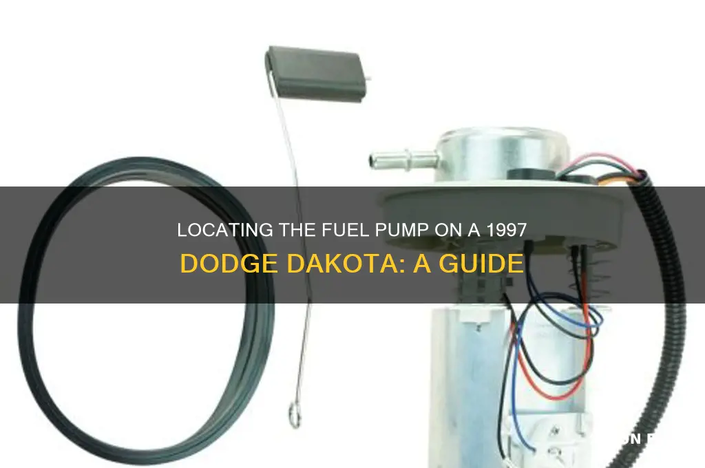 where is the fuel pump on a 1997 dodge dakota