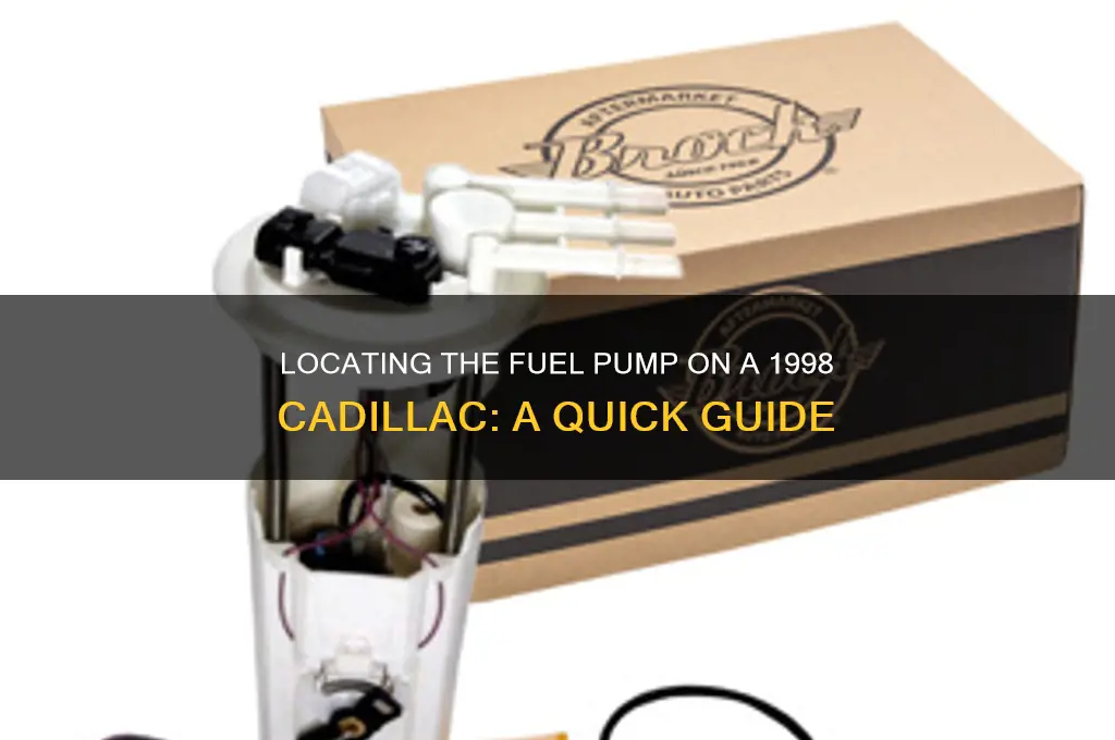 where is the fuel pump on a 1998 cadalac