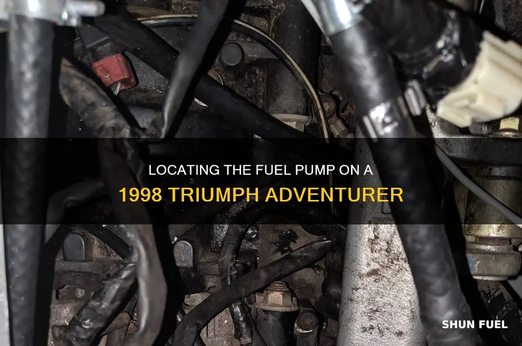 where is the fuel pump on a 1998 triumph adventurer