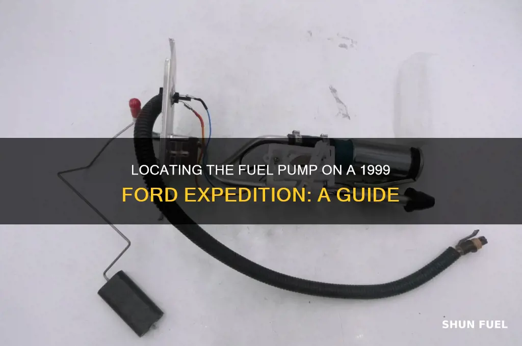 where is the fuel pump on a 1999 ford expedition