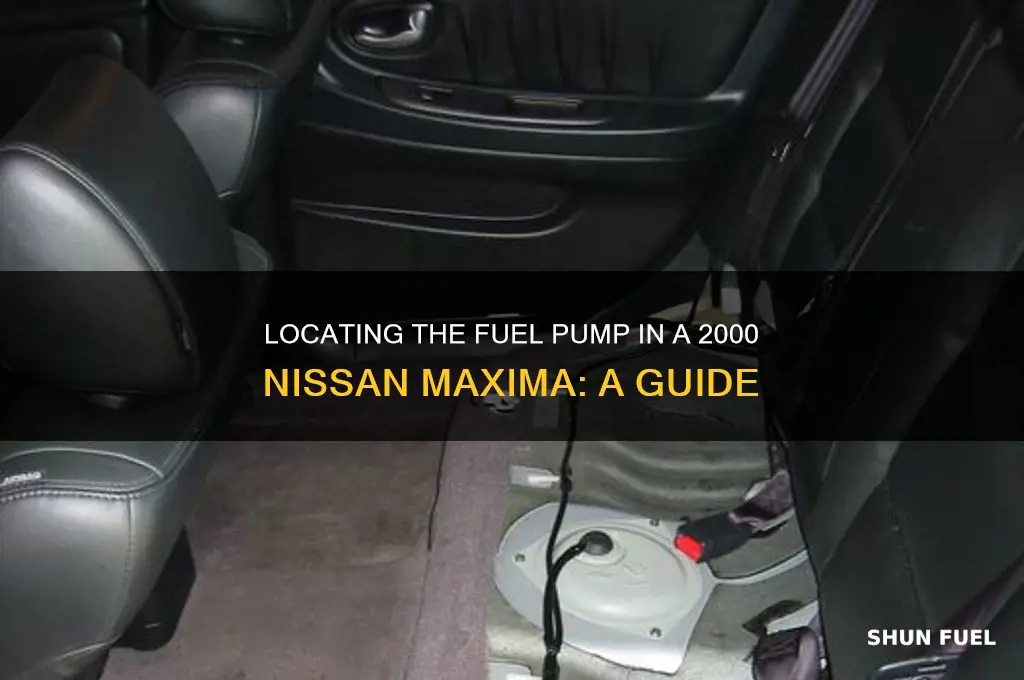 where is the fuel pump on a 2000 nissan maxima