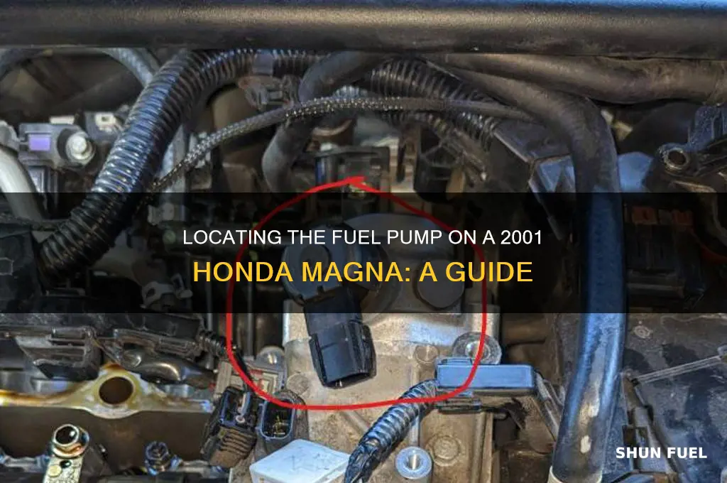 where is the fuel pump on a 2001 honda magna