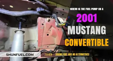 Locating the Fuel Pump in a 2001 Mustang Convertible