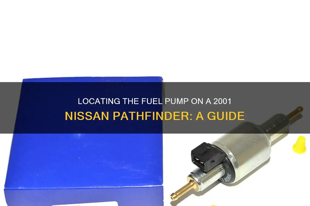 where is the fuel pump on a 2001 nissan pathfinder