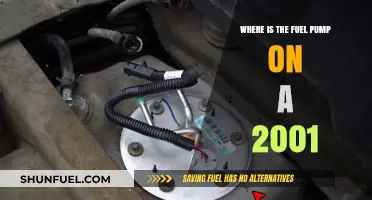 Locating the Fuel Pump on a 2001 Vehicle: A Quick Guide