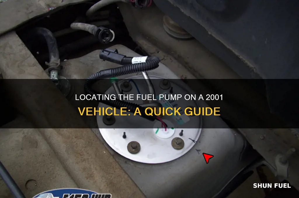 where is the fuel pump on a 2001