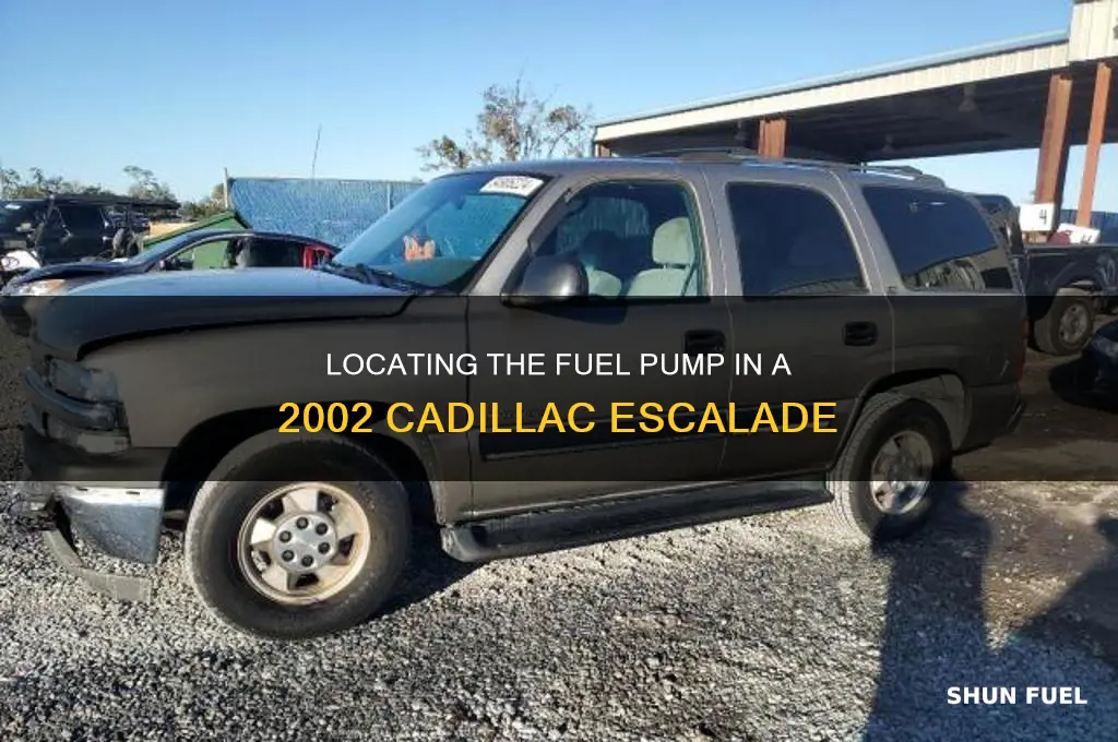 where is the fuel pump on a 2002 cadillac escalade