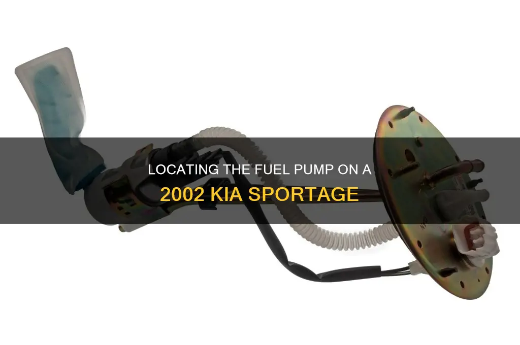 where is the fuel pump on a 2002 kia sporteg