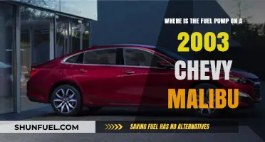 Locate the Fuel Pump in Your 2003 Chevy Malibu Easily