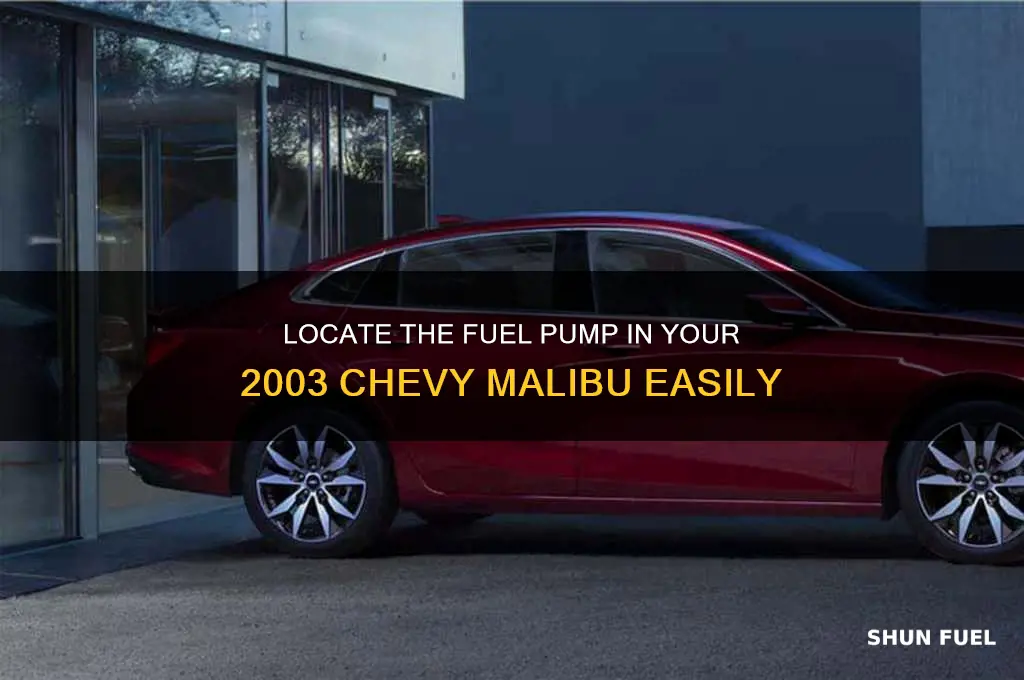 where is the fuel pump on a 2003 chevy malibu