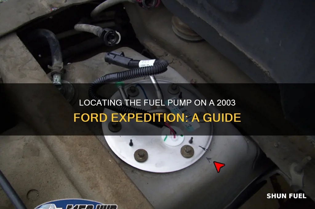 where is the fuel pump on a 2003 ford expedition
