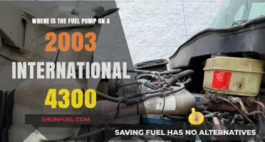 Locating the Fuel Pump on a 2003 International 4300