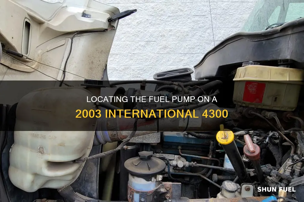 where is the fuel pump on a 2003 international 4300