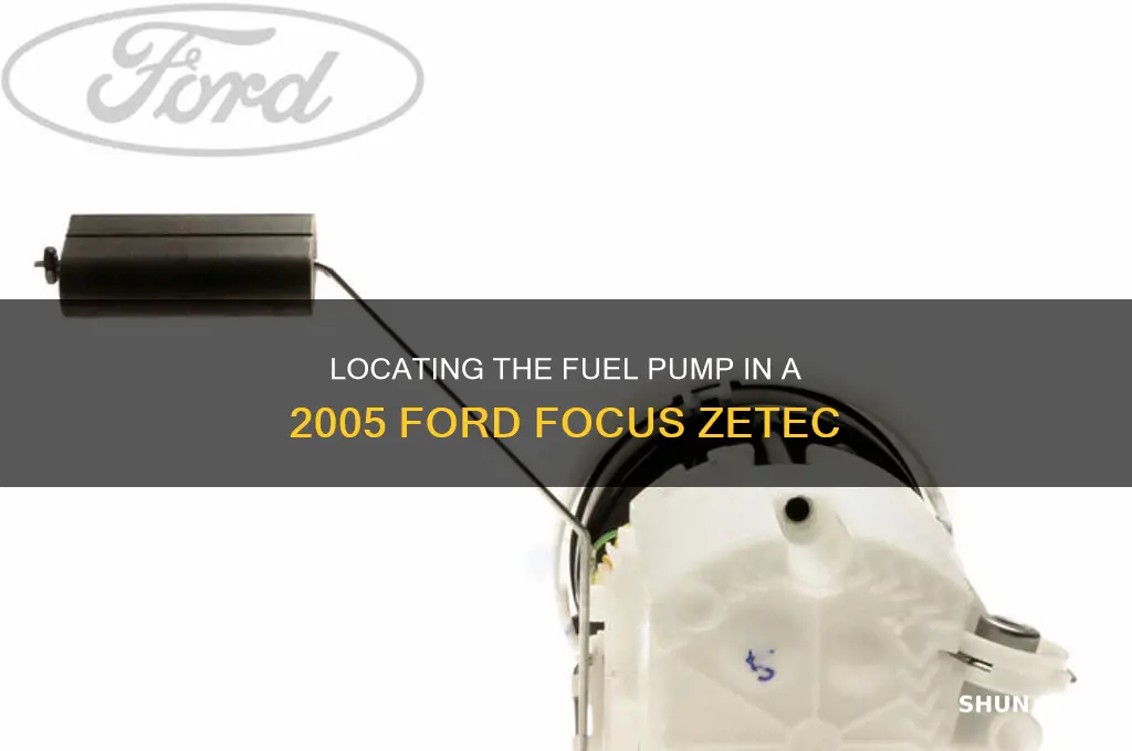 where is the fuel pump on a 2005 focus zetec