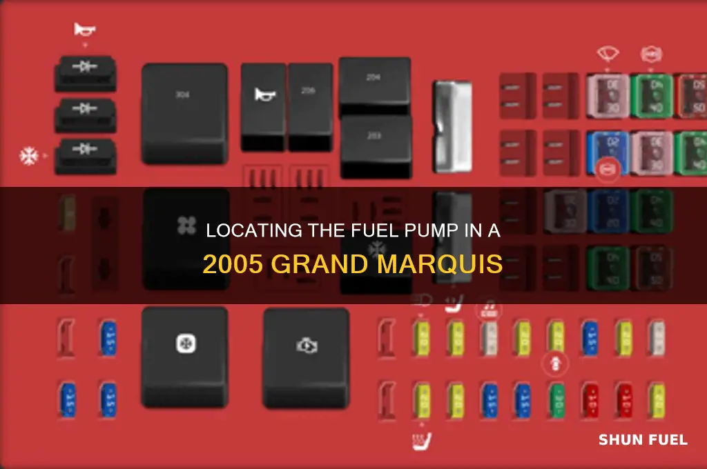 where is the fuel pump on a 2005 grand marquis