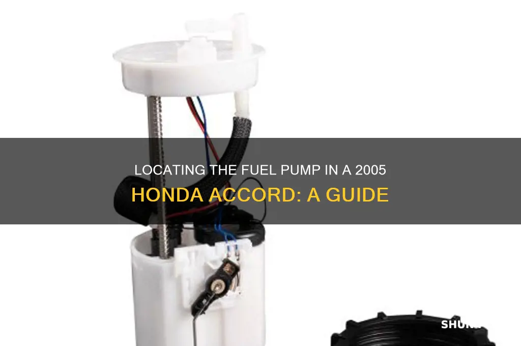 where is the fuel pump on a 2005 honda accord