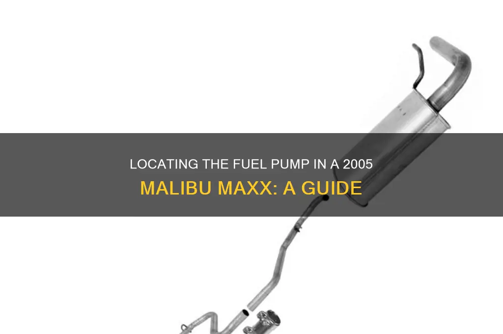 where is the fuel pump on a 2005 malibu maxx