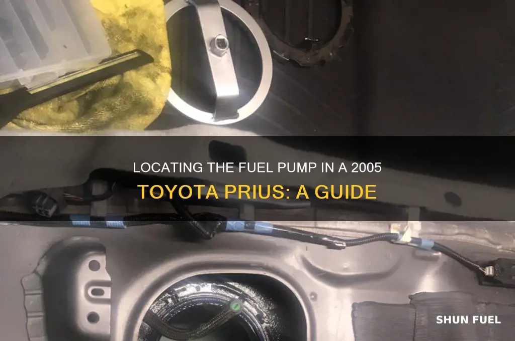 where is the fuel pump on a 2005 toyata prius