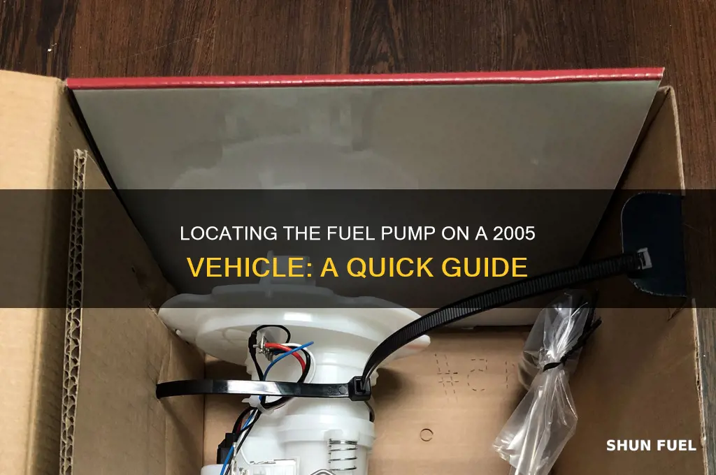 where is the fuel pump on a 2005