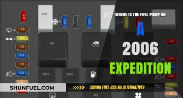Locating the Fuel Pump in Your 2006 Ford Expedition