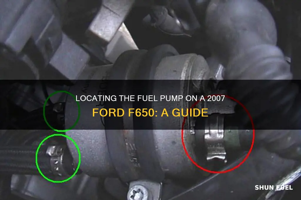 where is the fuel pump on a 2007 f650
