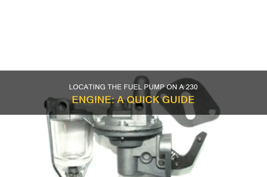 where is the fuel pump on a 230 engine