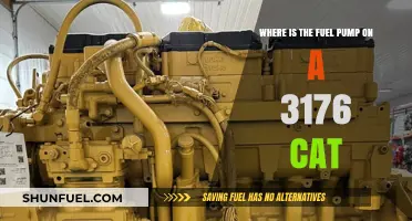 Locating the Fuel Pump on a Caterpillar 3176 Engine