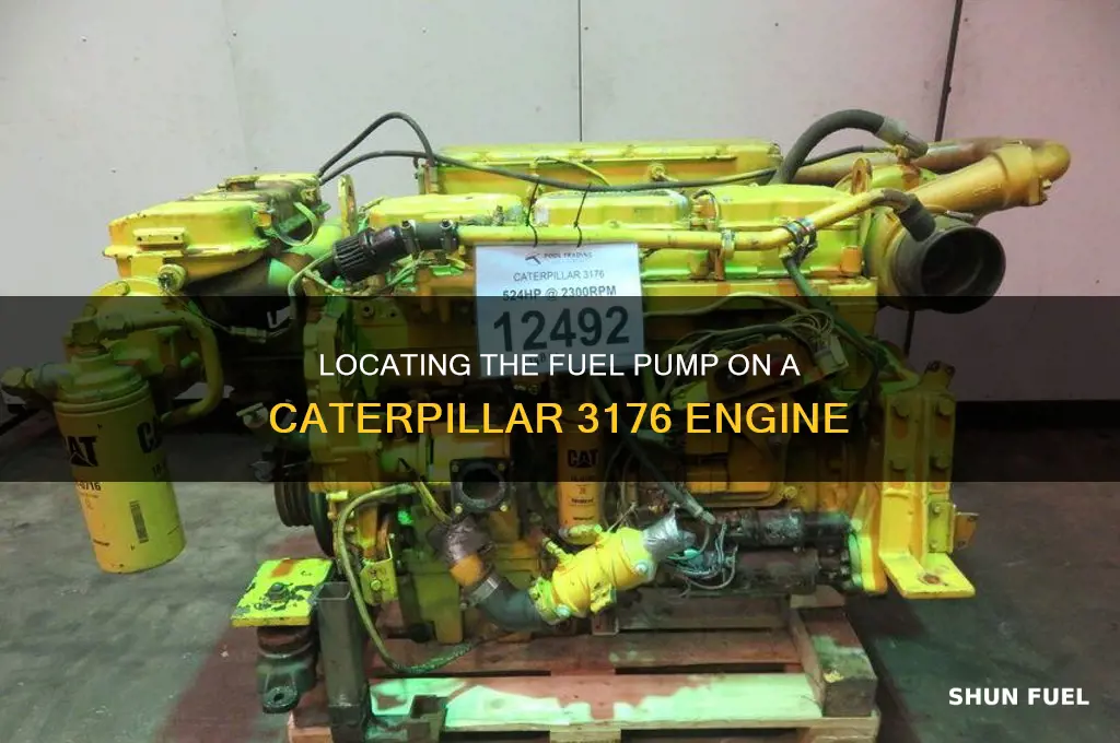 where is the fuel pump on a 3176 cat